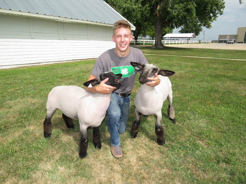 Sheep, Tanner Kirchhoff, Kearney, reserve grand and grand champions